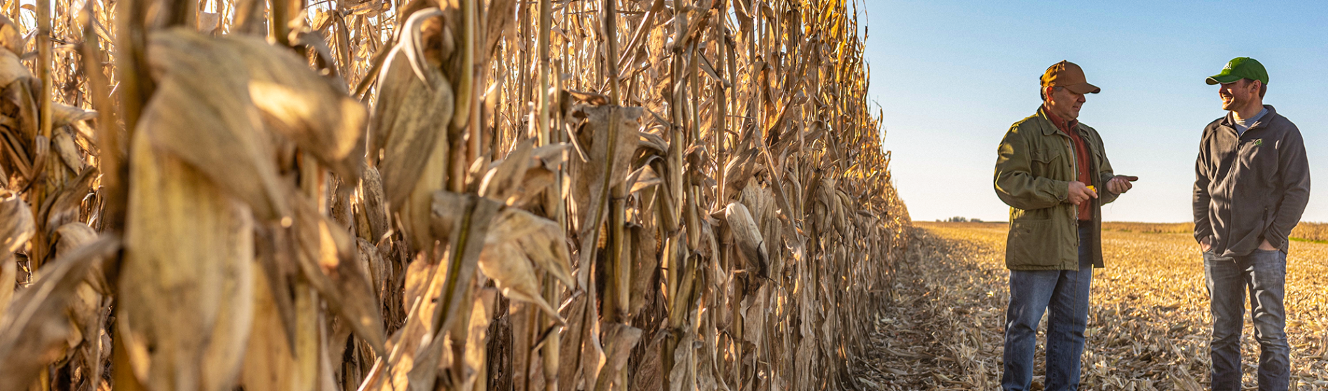 Farmer Interview