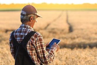 Farmer with a mobile in field