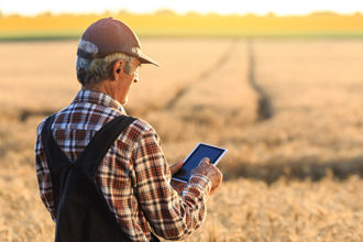 Farmer with a mobile on field