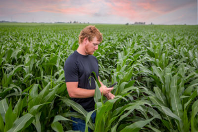 Farmer Scouting