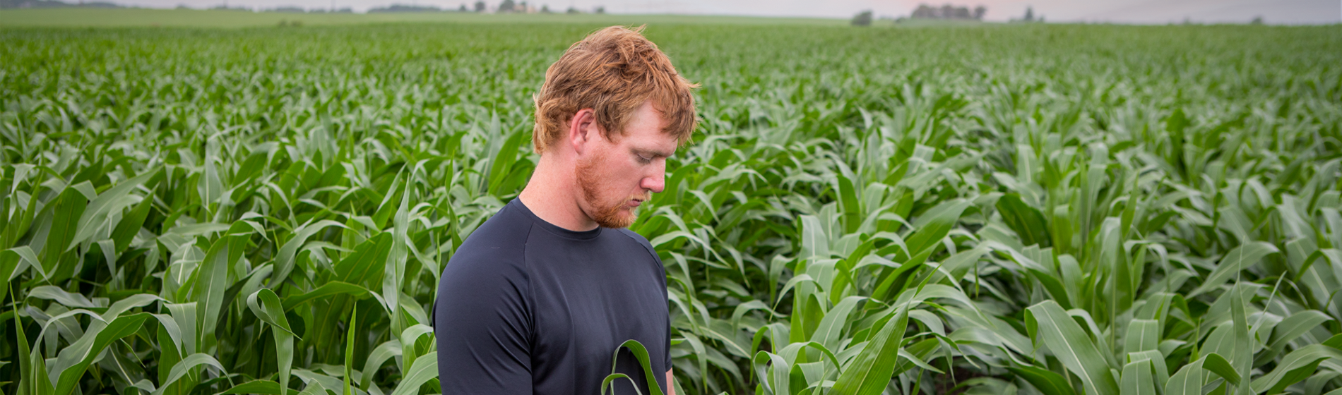 Farmer Scouting