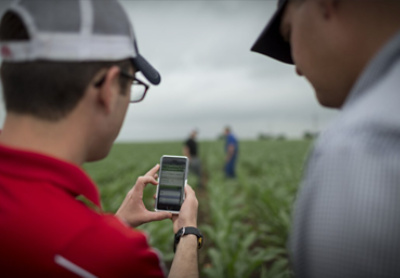 Farmer and Field Scientist assessing drought