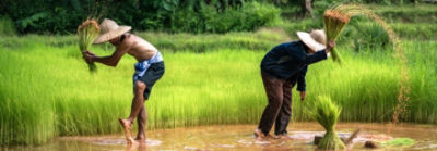 Corteva workers assembling packages