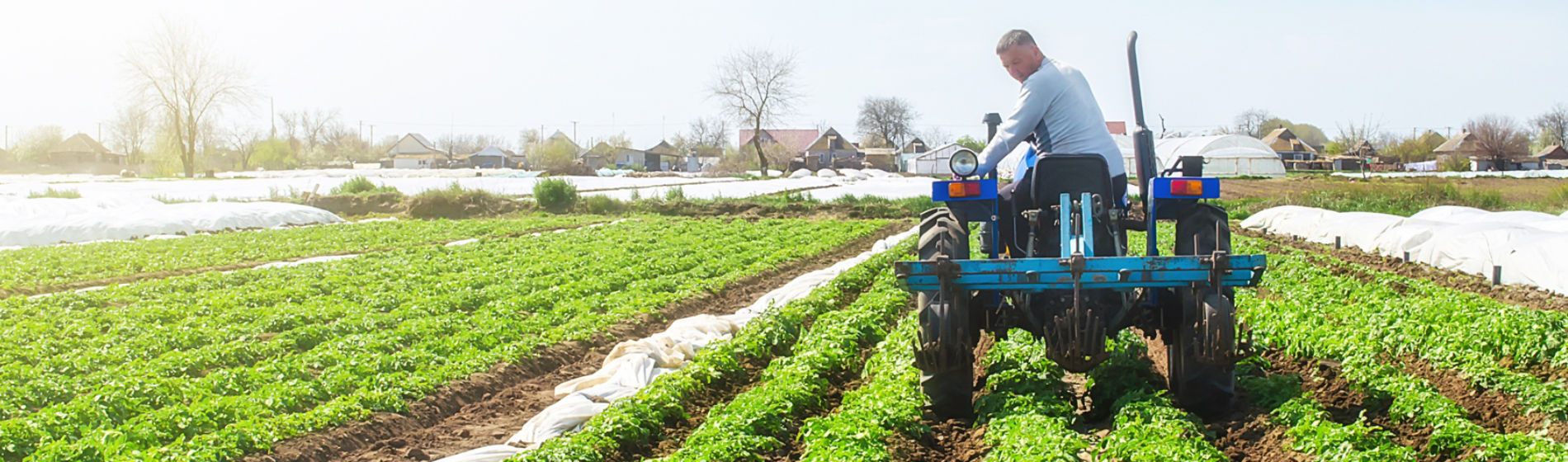 Farmer operating a blue tractor through green crop rows in a large agricultural field under a bright blue sky, showcasing sustainable farming and on-farm efficiency practices.