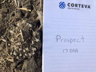 Prospect 17-DAA Field tour