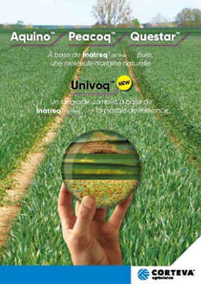 IMG-Fongicides-cereales-a-base-d-Inatreq-Active.jpg