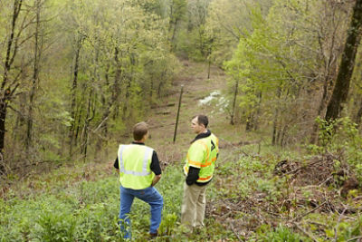 GA utility workers in tree line