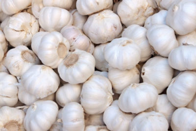 Garlic Banner