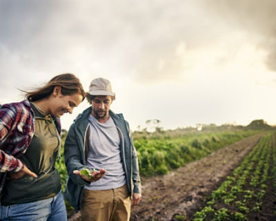 Man and woman in field with leaves in hand