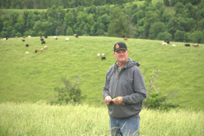 Glen Copy