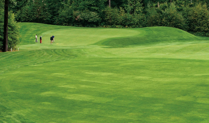 Golf course beauty shot