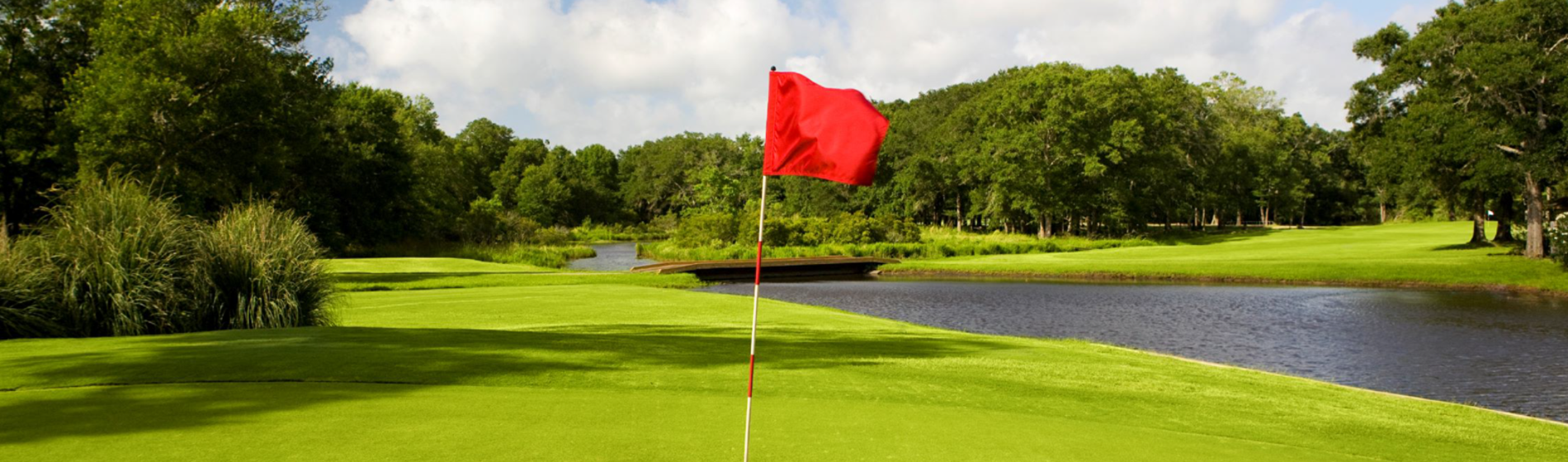Golf course view from green
