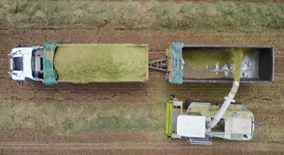 IMG-Gras_Stabilizer-Pioneer-V1