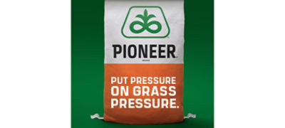 Sorghum seed bag - put Pressure on Grass Pressure