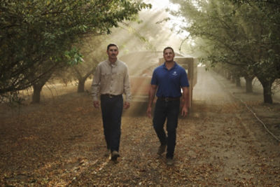 two men walking towards camera on leaf-covered lane near sunrise