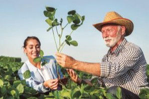 IMG-Haviza_Farmer_Soybeans_GL_New
