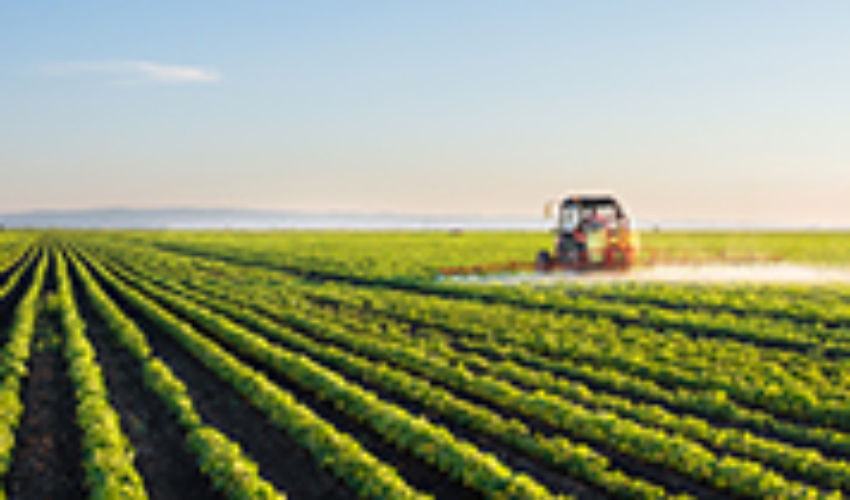 Tractor spraying soybean field