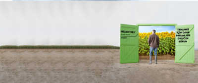 digitalheropioneer-desktop