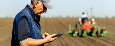Man in field looking at tablet