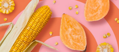 Image of a corncob and a fruit