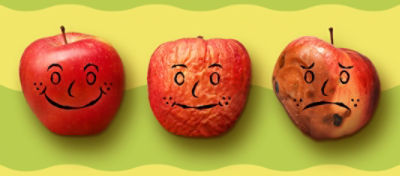 Apples in stages of decay