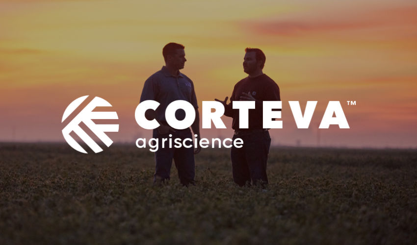 Two men standing in a field