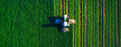 Imagem de Tela Iniciale