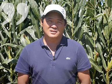 Massaru Hachiya Unaí-MG