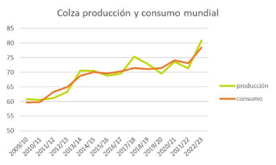 El despegue de la Colza- Gráfica 3
