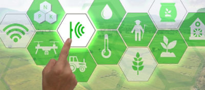 IoT en agricultura, situación y perspectivas del mercado