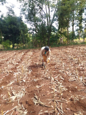 Climate Field View - Lucy Kaari
