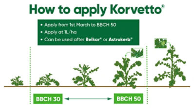 Application window for using Korvetto