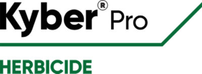 Kyber Pro logo