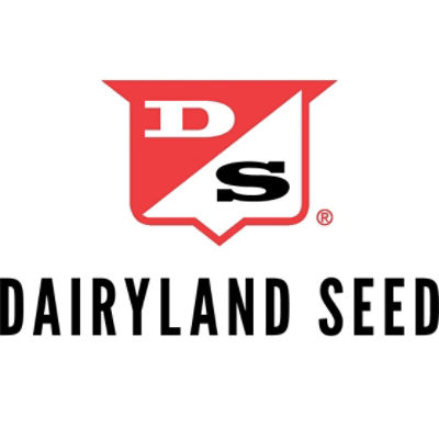 Dairyland Seed