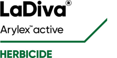 LaDiva Logo