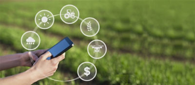 Digital Agriculture