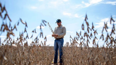 Homem de pé em meio a uma lavoura de soja