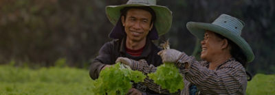Two farmers holding lettuce
