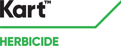 Cursus logo