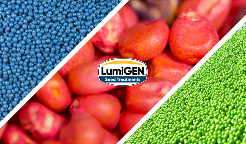 lumigen logo overlaid on various treated seeds