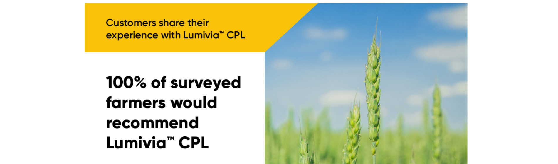 100% of surveyed farmers would recommend Lumivia CPL