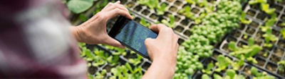 J’évalue mon risque taupin avec l’application Top’Info