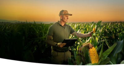 Anticiparse a las ecigencias del maíz, rinde.