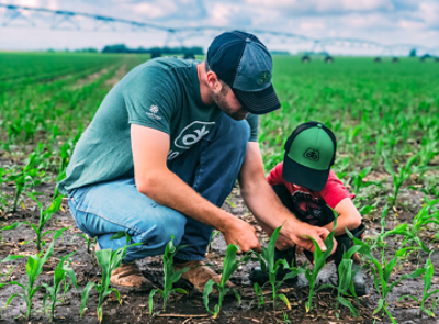 Photo - man and child in field - examining crops