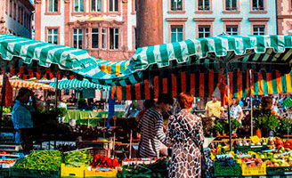 IMG-gestion-durable-des-ravageurs-vigne