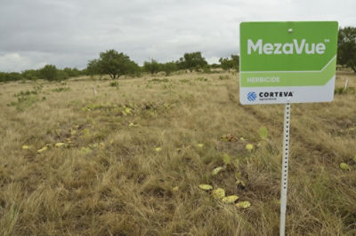 Image of MezaVue field sign