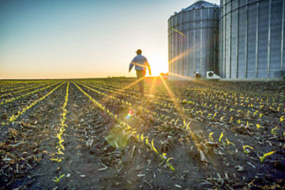 Agronomy Webinars