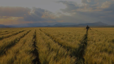 IMG-Nampo_Cape_Page_Bottom_Image-Corteva-ZA-V1