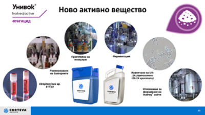 IMG-New AI-Corteva-EU-BG-V1