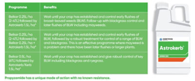 Corteva oilseed rape herbicide in a programme